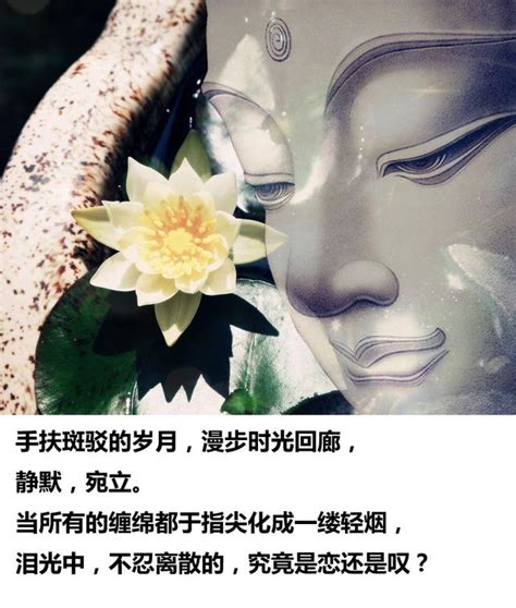 看緣分|66.佛說緣分的經典句子，句句深刻透徹，一言點醒夢中人